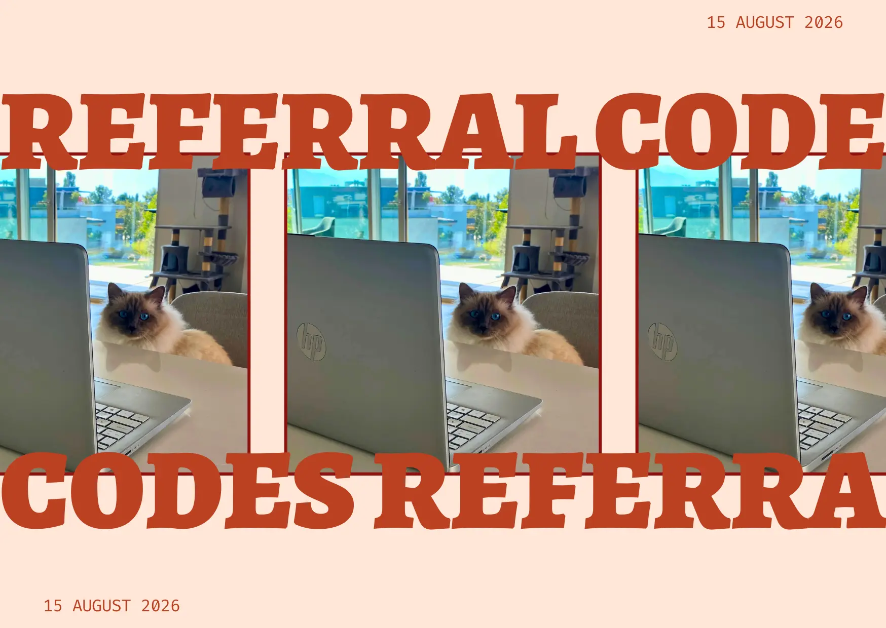 Fluffy cat sitting behind a laptop, looking like it’s working on referral codes for you.