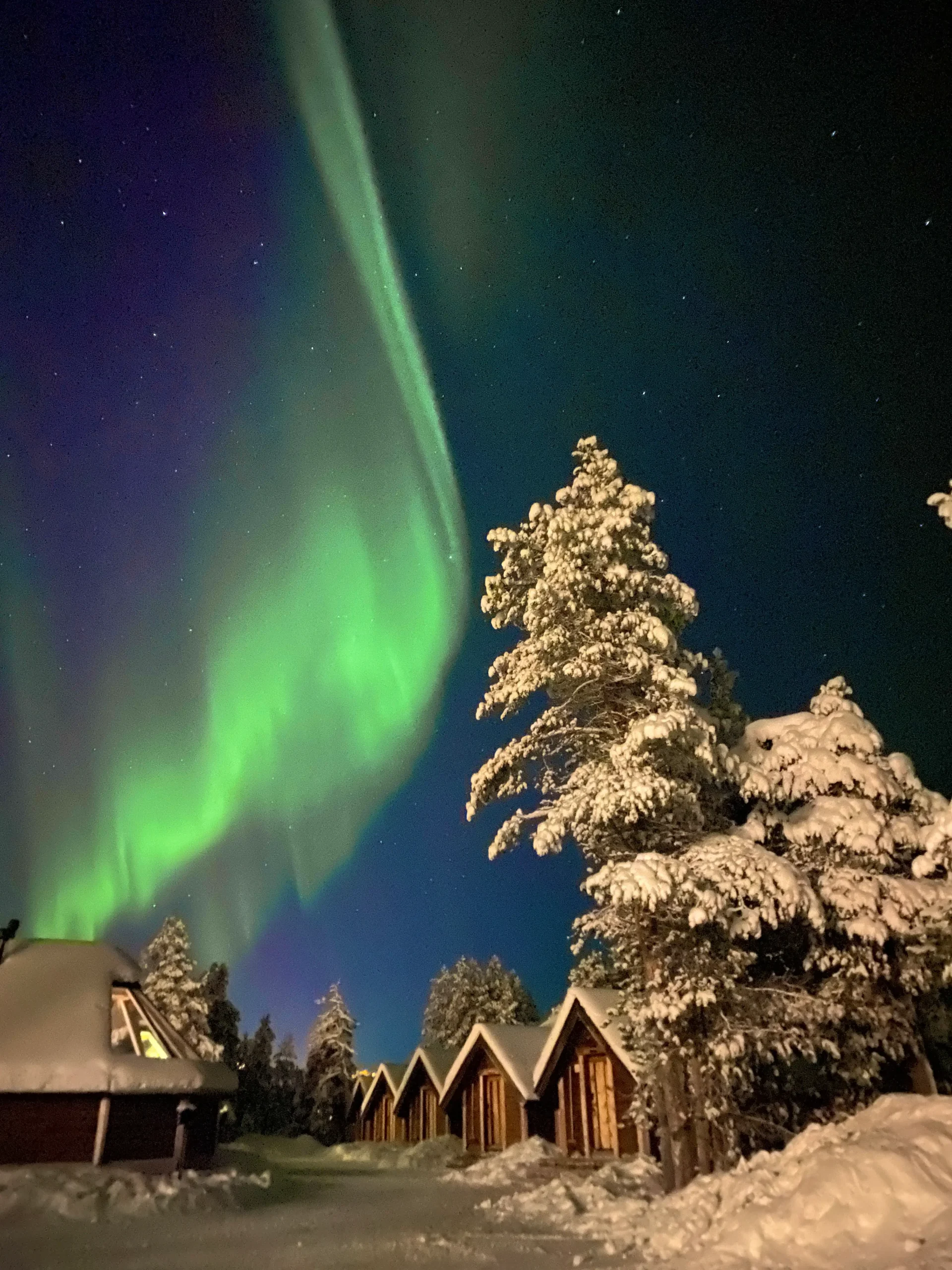 Northern lights over snowy cabins and trees in Inari, Finland.