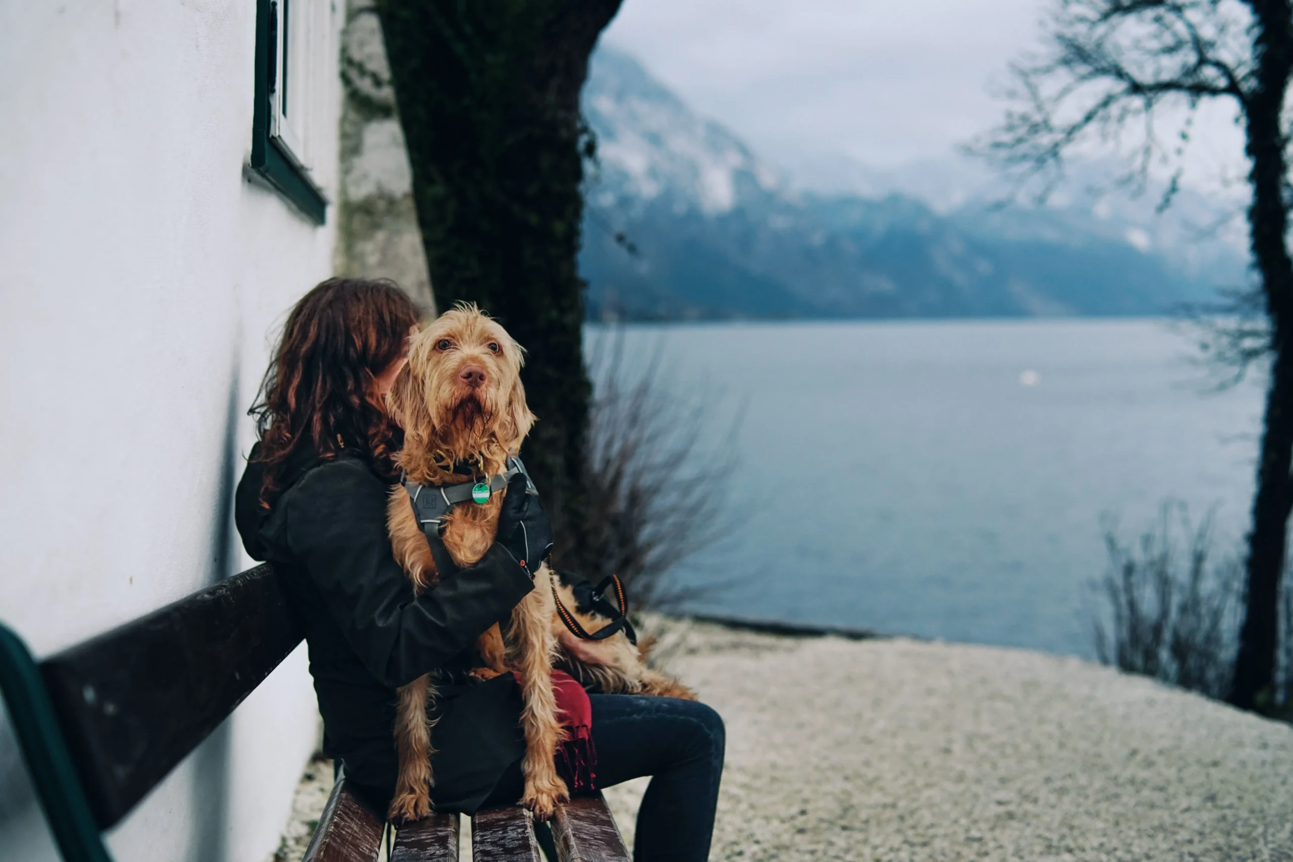 A woman with a dog sitting on a bench by a scenic mountain lake in winter.