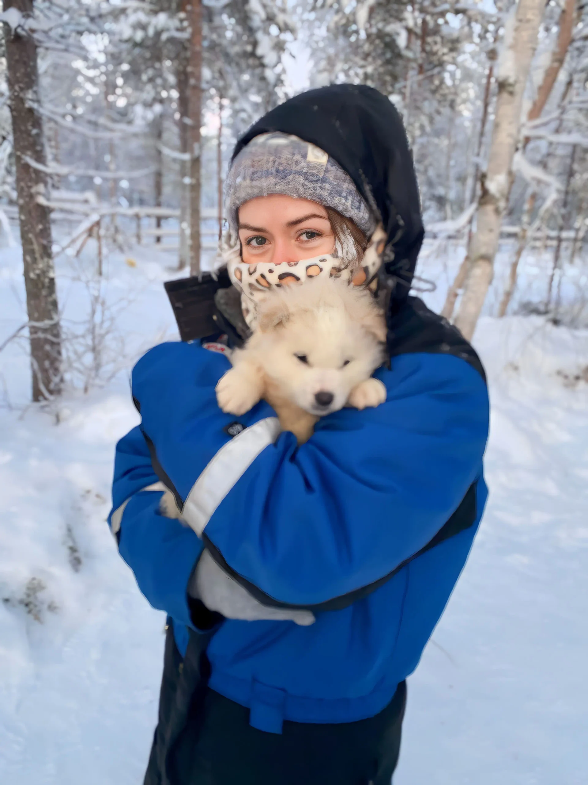 Woman in a blue winter jacket holding a small husky puppy in a snowy forest showing Lapland for adults is fun